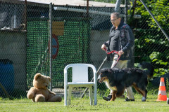 20230611-Tra-da-num_Esame_Citadino-di-4-zampe_rhe-10