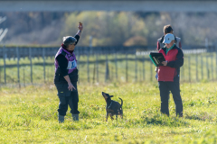 SM Fährtenhunde
