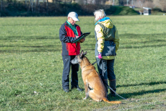 SM Fährtenhunde