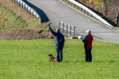SM Fährtenhunde