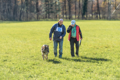 SM Fährtenhunde