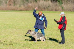 SM Fährtenhunde