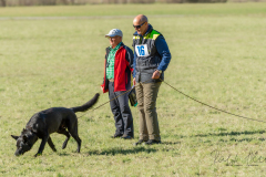 SM Fährtenhunde