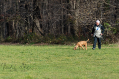 SM Fährtenhunde
