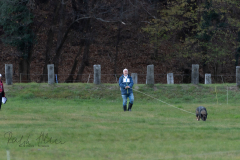 SM Fährtenhunde