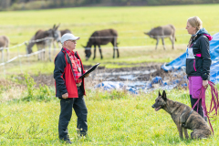 SM Fährtenhunde