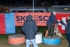 SM Fährtenhunde