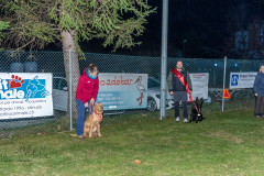 SM Fährtenhunde