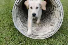 IMG-20220205-WA0005
