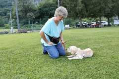 IMG-20220205-WA0010