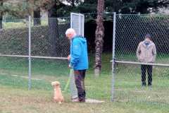 IMG-20220205-WA0013