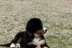 IMG-20220205-WA0017