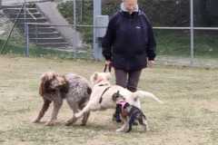 IMG-20220205-WA0018