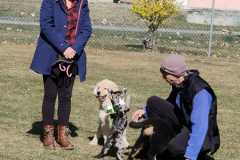 IMG-20220205-WA0019