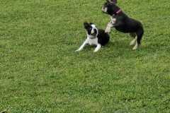 IMG-20220205-WA0021
