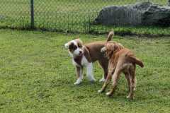 IMG-20220205-WA0022