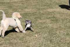 IMG-20220205-WA0023