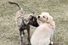 IMG-20220205-WA0024