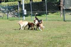 IMG-20220205-WA0025