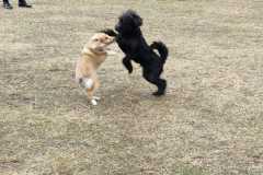 IMG-20220205-WA0026