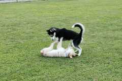 IMG-20220205-WA0027