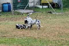 IMG-20220205-WA0028