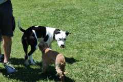 IMG-20220205-WA0029