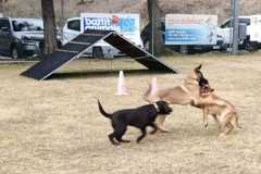 IMG-20220205-WA0030