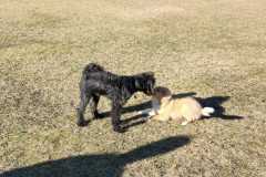 IMG-20220205-WA0031
