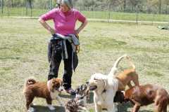 IMG-20220205-WA0033
