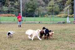 IMG-20220205-WA0034