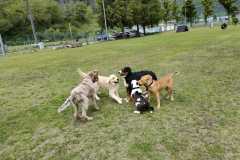 IMG-20220205-WA0035