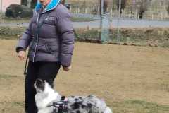IMG-20220206-WA0006