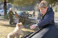 IMG-20220206-WA0008