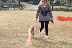 IMG-20220206-WA0009
