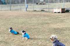 IMG-20220206-WA0010