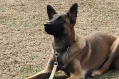 IMG-20220206-WA0011