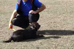 IMG-20220206-WA0012