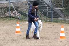 IMG-20220206-WA0013
