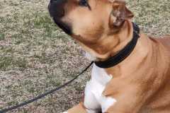 IMG-20220206-WA0014