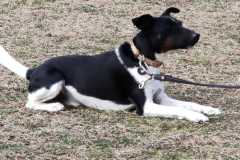 IMG-20220206-WA0015