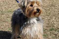 IMG-20220206-WA0016