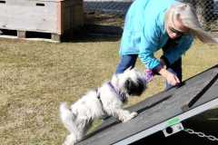 IMG-20220206-WA0017