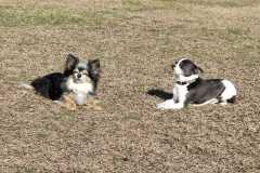 IMG-20220206-WA0018