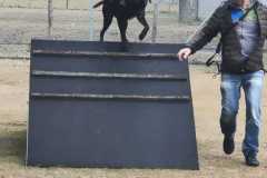 IMG-20220207-WA0000