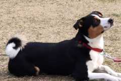 IMG-20220207-WA0001