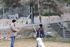 IMG-20220207-WA0002