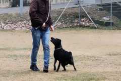 IMG-20220207-WA0003