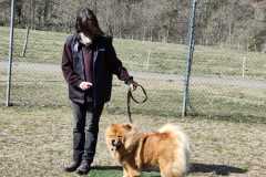 IMG-20220208-WA0000