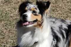 IMG-20220208-WA0003